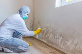 Best Attic Mold Removal in Lake Sconsin, WI